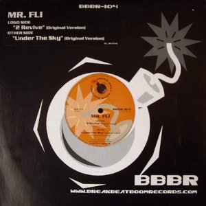 MR. FLI 的头像
