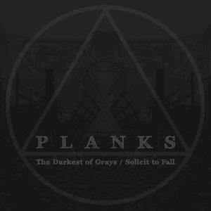 The Darkest of Grays / Solicit to Fall
