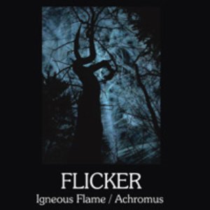 Flicker