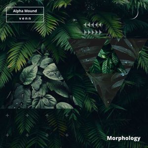 Morphology