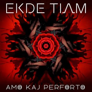Amo Kaj Perforto