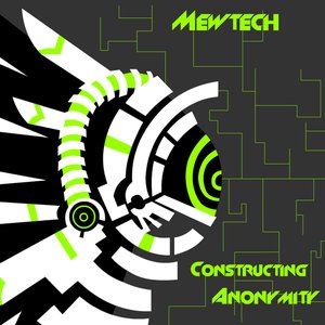 “Constructing Anonymity”的封面