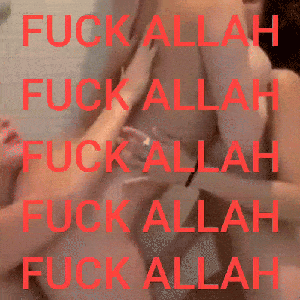 anasheed 的头像