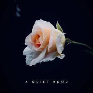 A Quiet Mood