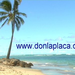 Don La Placa 的头像