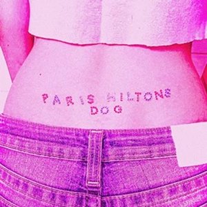 PARIS HILTON'S DOG