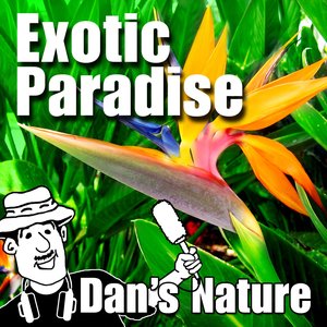 Exotic Paradise (Nature Sounds)