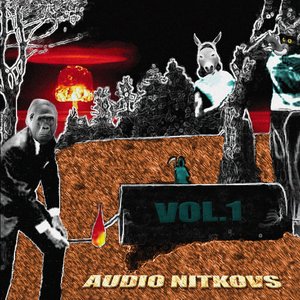 Audio Nitkovs 的头像