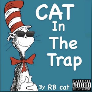 Cat In The Trap