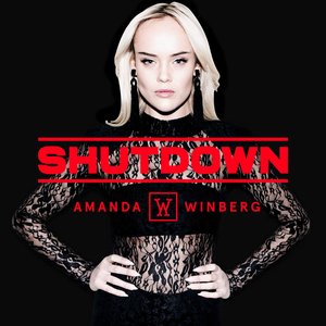 Shutdown - Single