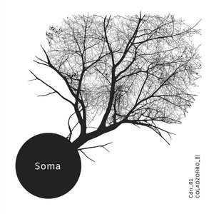 Soma