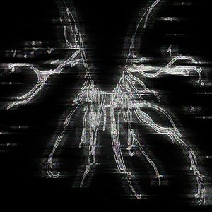 arialdead 的头像