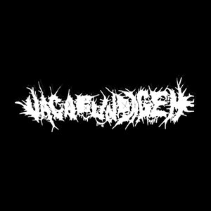 Avatar for Vagabundagem