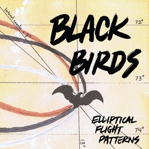 Elliptical Flight Patterns