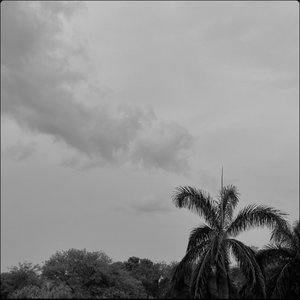 Umbrella☂