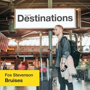 “Bruises (Destinations)”的封面