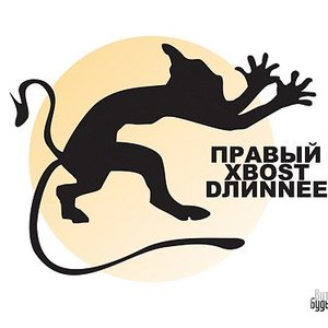 Правый Хвост Длиннее 的头像