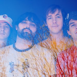 Awatar dla Animal Collective