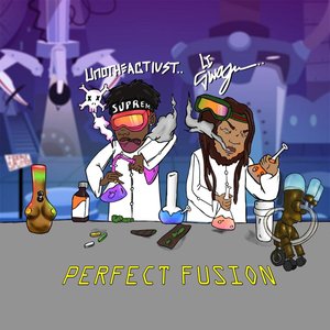 Perfect Fusion