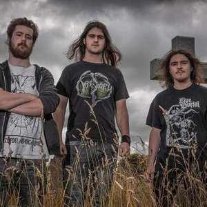 Vulgar Dissection 的头像
