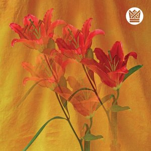 Beri Cinta Waktu - Single