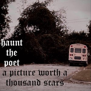 A Picture Worth a Thousand Scars