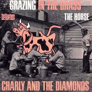 Charly And The Diamonds 的头像
