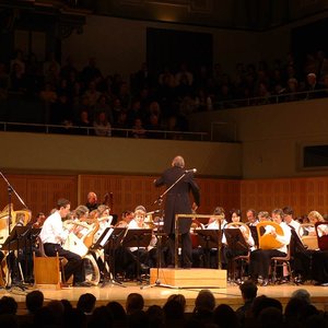Bild für 'The Celtic Lyre Orchestra'