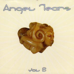 Angel Tears, Volume 2