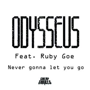 Never Gonna Let You Go (feat. Ruby Goe)