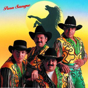 Bronco - Aunque No Me Quiereas Lyrics - Zortam Music