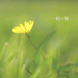 一粒の種