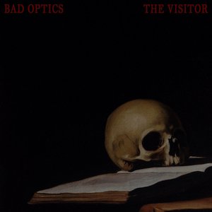 The Visitor