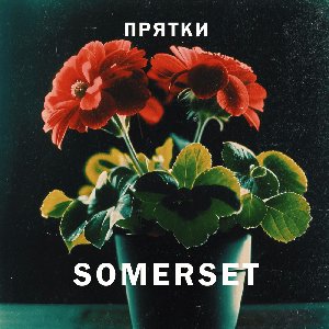 Прятки - Single