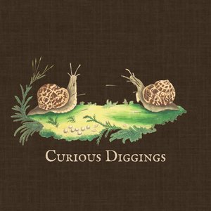 Curious Diggings