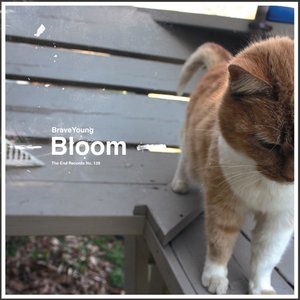 Bloom