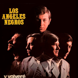 Artwork for Y Volveré
