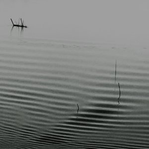 SEVERE