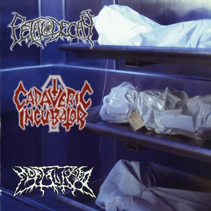 Fetal Decay / Cadaveric Incubator / Mortalized cover