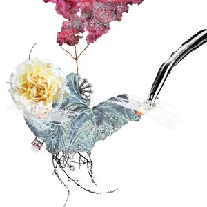 Caught In The Wake Forever & glacis 的头像