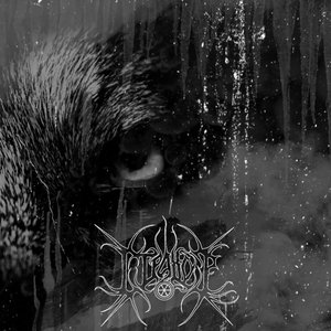 Wolven Storm
