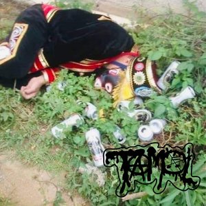 TAMAL 的头像