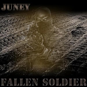 Fallen Soldier