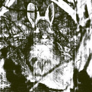 Аватар для Hare Today, Gone Tomorrow
