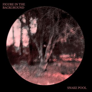 Figure In the Background - Single