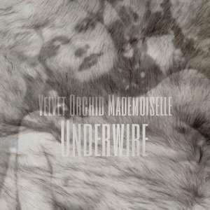 Underwire
