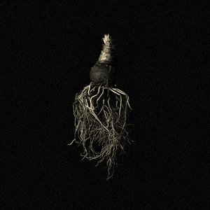 Indigo EP
