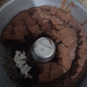 A Vida Dentro do Formigueiro