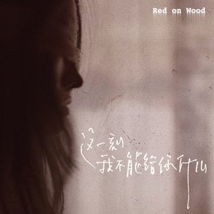 这一刻我不能给你什么 - Single