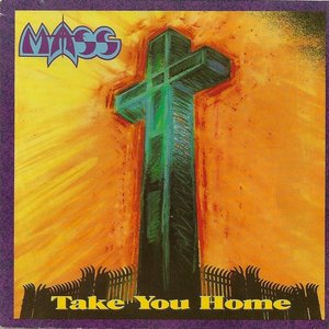 Take You Home